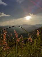 Phu Mok Dok Mai Resort