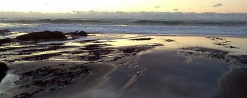 Salmonberry Inn & Beach House