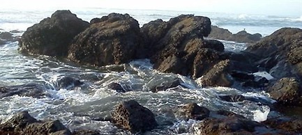 Salmonberry Inn & Beach House