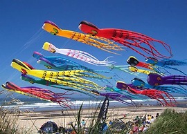 Salmonberry Inn & Beach House