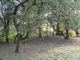 Newsham Grange Farm Bed and Breakfast
