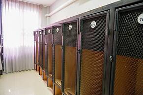 18 Coins Budget Hotel