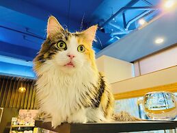 Lido Forestry Spa Resort