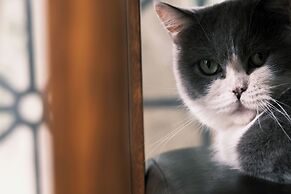 Lido Forestry Spa Resort