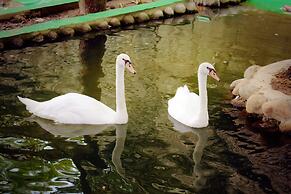 Lido Forestry Spa Resort