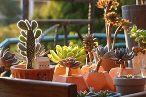 Lido Forestry Spa Resort