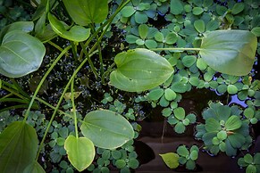 Baby Elephant Boutique Hotel