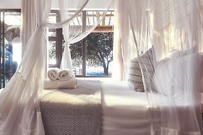 LIONSROCK Big Cat Sanctuary