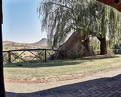 LIONSROCK Big Cat Sanctuary