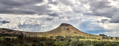 LIONSROCK Big Cat Sanctuary