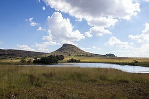 LIONSROCK Big Cat Sanctuary