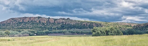 LIONSROCK Big Cat Sanctuary