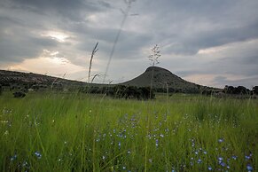 LIONSROCK Big Cat Sanctuary