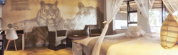 LIONSROCK Big Cat Sanctuary