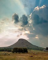 LIONSROCK Big Cat Sanctuary