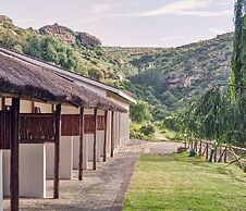 LIONSROCK Big Cat Sanctuary