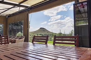 LIONSROCK Big Cat Sanctuary