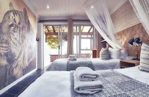 LIONSROCK Big Cat Sanctuary