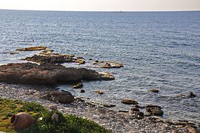 L'Approdo di Angelino