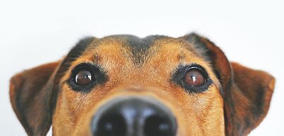 Garner Hotel Berlin - Charlottenburg by IHG