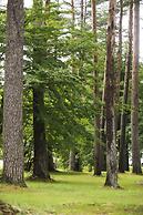 Kusatsu Now Resort Hotel