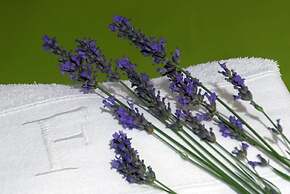 Residencial Ferrinho