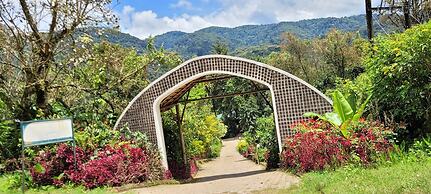 Gorilla Safari Lodge