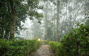 Gorilla Safari Lodge