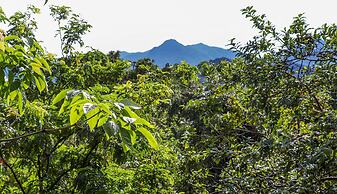 Hotel Alemão Beach de Ilhabela