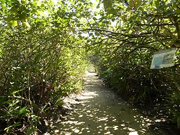 Bali Suites Itamambuca