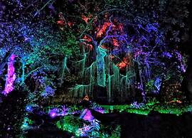 8 Boutique By The Sea