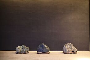 Furano Natulux Hotel