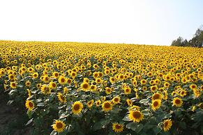 Furano Natulux Hotel