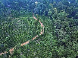 Banasura Hill Resort