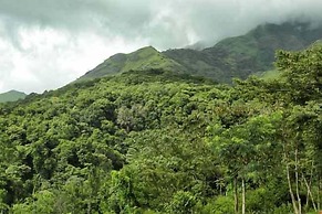 Banasura Hill Resort