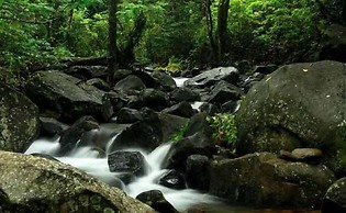 Banasura Hill Resort