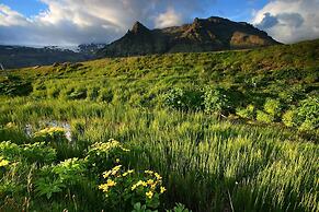 Welcome Guesthouse Edinborg