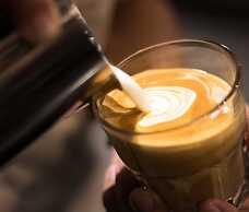 Swiss-Belhotel Rainforest