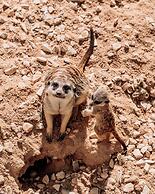 Hotel de Charme Casa da Amieira