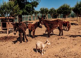 Hotel de Charme Casa da Amieira