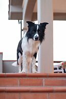 Follonica Apartments