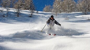 Alpenhotel Tirolerhof