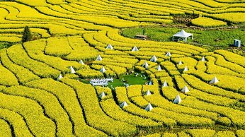 Banyan Tree Tengchong