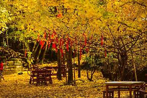 Banyan Tree Tengchong