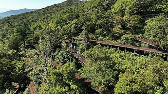 Mona Yongpyong Tower Condominium