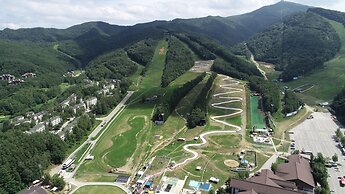 Mona Yongpyong Tower Condominium