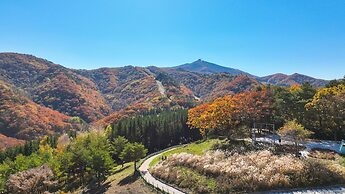 Mona Yongpyong Tower Condominium