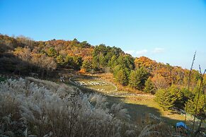 Mona Yongpyong Tower Condominium