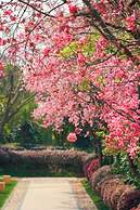 InterContinental Kunming by IHG