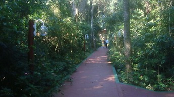 Don Horacio Hotel Selvatico